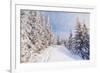 Winter Landscape with Snow Drifts and a Footpath in a Mountain Forest. Forest after a Snow Storm-Kotenko-Framed Photographic Print