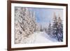 Winter Landscape with Snow Drifts and a Footpath in a Mountain Forest. Forest after a Snow Storm-Kotenko-Framed Photographic Print