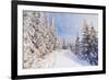 Winter Landscape with Snow Drifts and a Footpath in a Mountain Forest. Forest after a Snow Storm-Kotenko-Framed Photographic Print