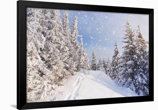 Winter Landscape with Snow Drifts and a Footpath in a Mountain Forest. Forest after a Snow Storm-Kotenko-Framed Photographic Print