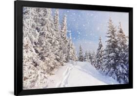 Winter Landscape with Snow Drifts and a Footpath in a Mountain Forest. Forest after a Snow Storm-Kotenko-Framed Photographic Print