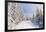 Winter Landscape with Snow Drifts and a Footpath in a Mountain Forest. Forest after a Snow Storm-Kotenko-Framed Photographic Print