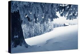 Winter Landscape with Snow in a Mountain Valley. Cabin in the Woods. Carpathians, Ukraine, Europe-Kotenko-Stretched Canvas