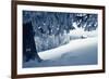 Winter Landscape with Snow in a Mountain Valley. Cabin in the Woods. Carpathians, Ukraine, Europe-Kotenko-Framed Photographic Print