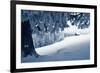 Winter Landscape with Snow in a Mountain Valley. Cabin in the Woods. Carpathians, Ukraine, Europe-Kotenko-Framed Photographic Print