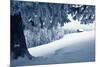 Winter Landscape with Snow in a Mountain Valley. Cabin in the Woods. Carpathians, Ukraine, Europe-Kotenko-Mounted Photographic Print