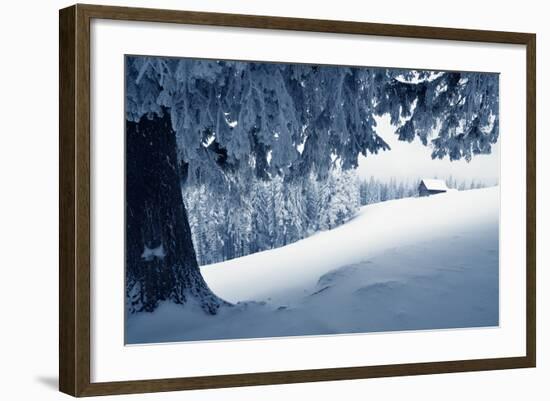 Winter Landscape with Snow in a Mountain Valley. Cabin in the Woods. Carpathians, Ukraine, Europe-Kotenko-Framed Photographic Print