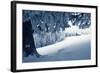 Winter Landscape with Snow in a Mountain Valley. Cabin in the Woods. Carpathians, Ukraine, Europe-Kotenko-Framed Photographic Print