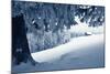 Winter Landscape with Snow in a Mountain Valley. Cabin in the Woods. Carpathians, Ukraine, Europe-Kotenko-Mounted Photographic Print