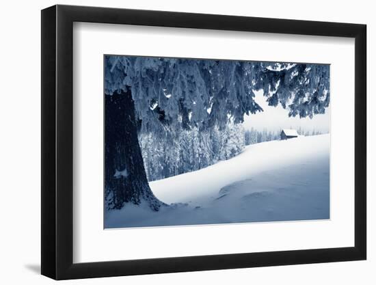 Winter Landscape with Snow in a Mountain Valley. Cabin in the Woods. Carpathians, Ukraine, Europe-Kotenko-Framed Photographic Print