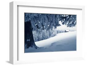 Winter Landscape with Snow in a Mountain Valley. Cabin in the Woods. Carpathians, Ukraine, Europe-Kotenko-Framed Photographic Print