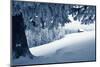 Winter Landscape with Snow in a Mountain Valley. Cabin in the Woods. Carpathians, Ukraine, Europe-Kotenko-Mounted Photographic Print