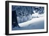 Winter Landscape with Snow in a Mountain Valley. Cabin in the Woods. Carpathians, Ukraine, Europe-Kotenko-Framed Photographic Print