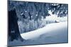 Winter Landscape with Snow in a Mountain Valley. Cabin in the Woods. Carpathians, Ukraine, Europe-Kotenko-Mounted Photographic Print