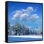 Winter Landscape with Snow in Mountains Carpathians, Ukraine-Kotenko-Framed Stretched Canvas