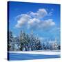 Winter Landscape with Snow in Mountains Carpathians, Ukraine-Kotenko-Stretched Canvas