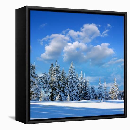 Winter Landscape with Snow in Mountains Carpathians, Ukraine-Kotenko-Framed Stretched Canvas