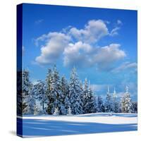 Winter Landscape with Snow in Mountains Carpathians, Ukraine-Kotenko-Stretched Canvas
