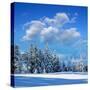 Winter Landscape with Snow in Mountains Carpathians, Ukraine-Kotenko-Stretched Canvas