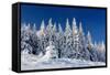 Winter Landscape with Snow in Mountains Carpathians, Ukraine-Kotenko-Framed Stretched Canvas