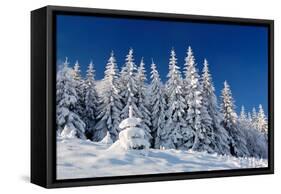 Winter Landscape with Snow in Mountains Carpathians, Ukraine-Kotenko-Framed Stretched Canvas