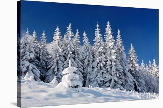 Winter Landscape with Snow in Mountains Carpathians, Ukraine-Kotenko-Stretched Canvas