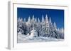 Winter Landscape with Snow in Mountains Carpathians, Ukraine-Kotenko-Framed Photographic Print