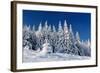 Winter Landscape with Snow in Mountains Carpathians, Ukraine-Kotenko-Framed Photographic Print