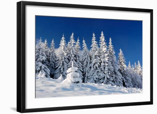 Winter Landscape with Snow in Mountains Carpathians, Ukraine-Kotenko-Framed Photographic Print