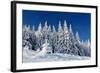 Winter Landscape with Snow in Mountains Carpathians, Ukraine-Kotenko-Framed Photographic Print