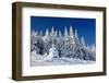 Winter Landscape with Snow in Mountains Carpathians, Ukraine-Kotenko-Framed Photographic Print