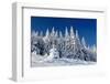 Winter Landscape with Snow in Mountains Carpathians, Ukraine-Kotenko-Framed Photographic Print