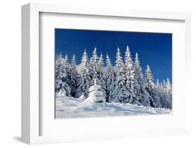 Winter Landscape with Snow in Mountains Carpathians, Ukraine-Kotenko-Framed Photographic Print