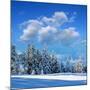 Winter Landscape with Snow in Mountains Carpathians, Ukraine-Kotenko-Mounted Photographic Print