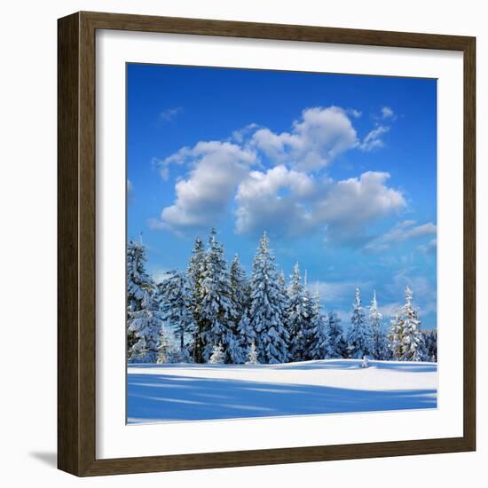 Winter Landscape with Snow in Mountains Carpathians, Ukraine-Kotenko-Framed Photographic Print