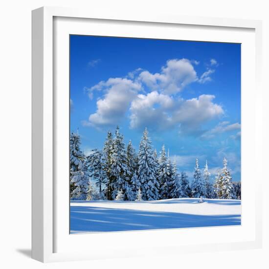 Winter Landscape with Snow in Mountains Carpathians, Ukraine-Kotenko-Framed Photographic Print