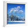 Winter Landscape with Snow in Mountains Carpathians, Ukraine-Kotenko-Framed Photographic Print