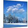 Winter Landscape with Snow in Mountains Carpathians, Ukraine-Kotenko-Mounted Photographic Print