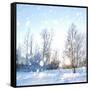 Winter Landscape with Snow-IgorKovalchuk-Framed Stretched Canvas