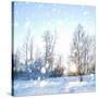 Winter Landscape with Snow-IgorKovalchuk-Stretched Canvas