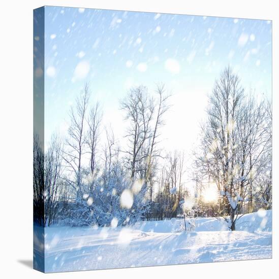Winter Landscape with Snow-IgorKovalchuk-Stretched Canvas