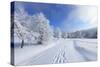 Winter Landscape with Snow-Bas Meelker-Stretched Canvas