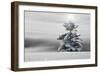 Winter Landscape with Spruce-Fir in Snow with Star on Tree-null-Framed Photographic Print