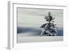Winter Landscape with Spruce in Snow-null-Framed Photographic Print