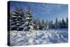 Winter Landscape with Spruce Woodland and Snow-null-Stretched Canvas