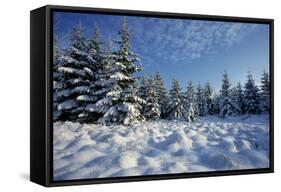Winter Landscape with Spruce Woodland and Snow-null-Framed Stretched Canvas