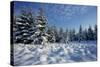 Winter Landscape with Spruce Woodland and Snow-null-Stretched Canvas