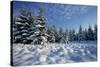 Winter Landscape with Spruce Woodland and Snow-null-Stretched Canvas