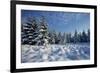 Winter Landscape with Spruce Woodland and Snow-null-Framed Photographic Print