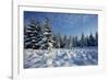 Winter Landscape with Spruce Woodland and Snow-null-Framed Photographic Print